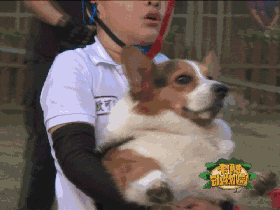 1477014949312638.gif