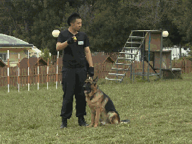 1478139632253227.gif
