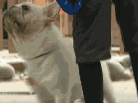 1478139632702127.gif