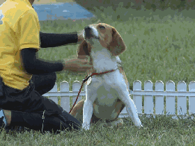 1478139633405828.gif