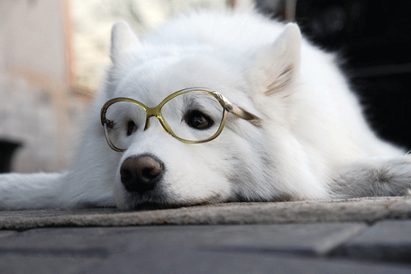 1506677114928788.gif fhjhio51.gif
