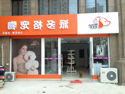 开宠物店赚钱需要具备哪些条件